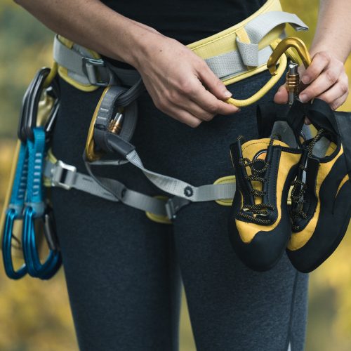 Cropped view of standing in harness on nature background, holding carabiner with training shoes in hands
